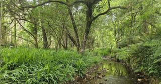 Finca rústica a Pría-Nueva-Hontoria-Naves. Fantastica parcela rustica en cardosu
