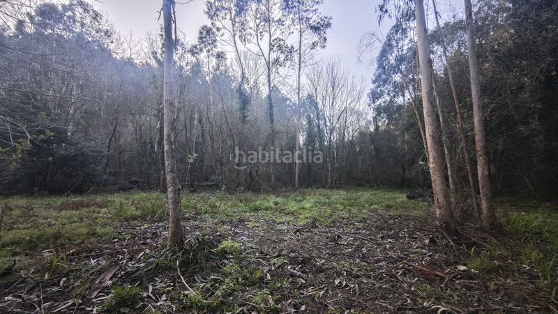 Foto d52b2b49-79cb-4c27-9aba-05a57c4caa8a. Finca rústica a Pría-Nueva-Hontoria-Naves Llanes