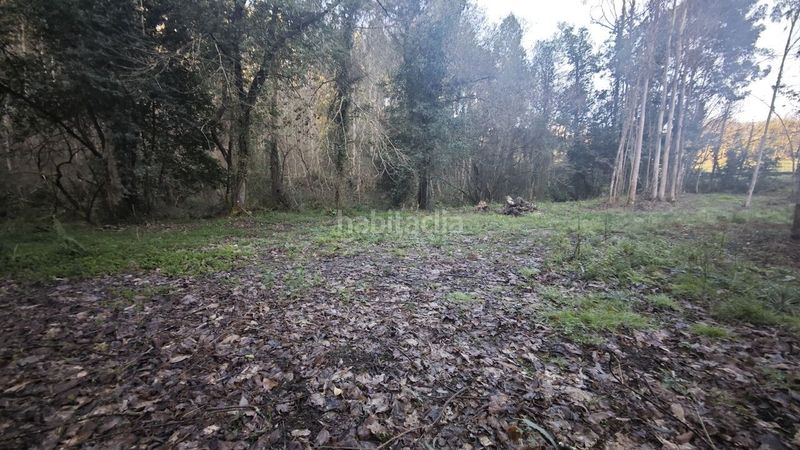 Foto ee65bd06-96a0-4acc-af37-c5b9e9d403c8. Finca rústica a Pría-Nueva-Hontoria-Naves Llanes