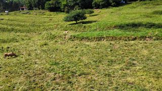 Terreno residencial en Vidiago-Pendueles-Tresgrandras. Parcela de 2350 m2 en pie de la sierra, llanes