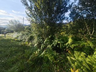 Residential Plot in Pría-Nueva-Hontoria-Naves. Parcela en el pueblo de cardosu llanes