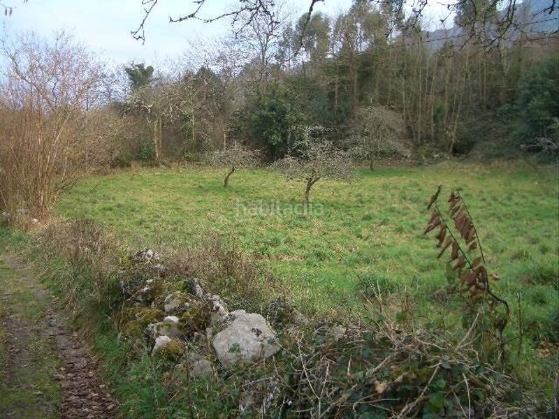 Foto cf40c1c2-978d-4823-beee-38114726bbed. Terreno residencial finca próxima a . en Celorio-Poó-Parres Llanes