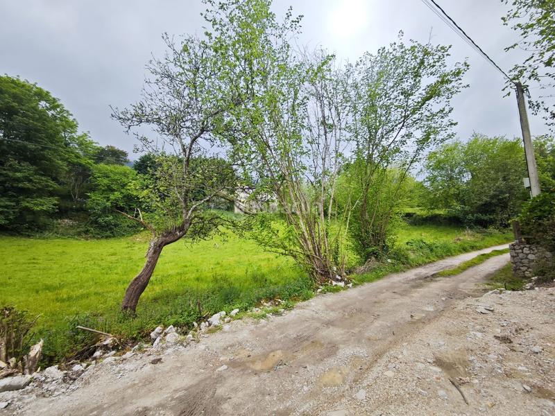 Foto 86ee86a4-a179-442b-a030-6dd21931ed42. Terreny residencial a Celorio-Poó-Parres Llanes