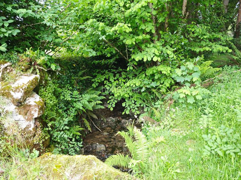 Foto a3888385-0275-4e9d-8ba0-632d32bc825c. Terreny residencial a Celorio-Poó-Parres Llanes