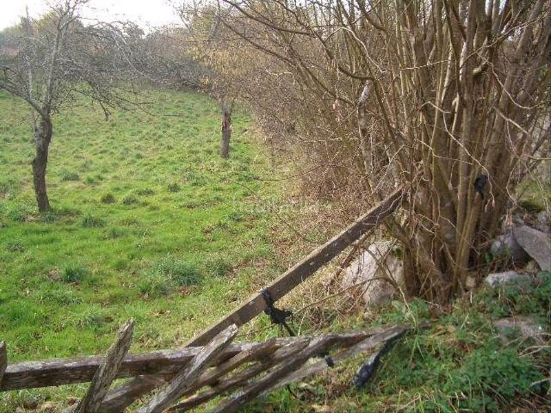 Foto b66a88f3-401c-44e9-a4d2-aec644027feb. Terreny residencial a Celorio-Poó-Parres Llanes