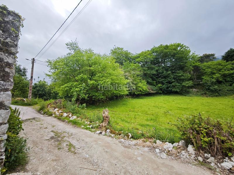 Foto c32c2fa5-b7de-450e-8251-c8cca0a5f424. Terreny residencial a Celorio-Poó-Parres Llanes