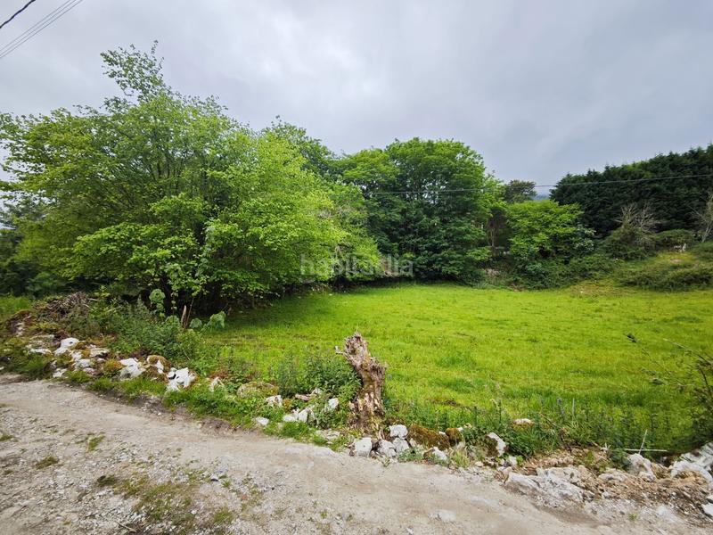 Foto d9454cc1-5684-4679-9c10-8045cd8936ca. Terreny residencial a Celorio-Poó-Parres Llanes