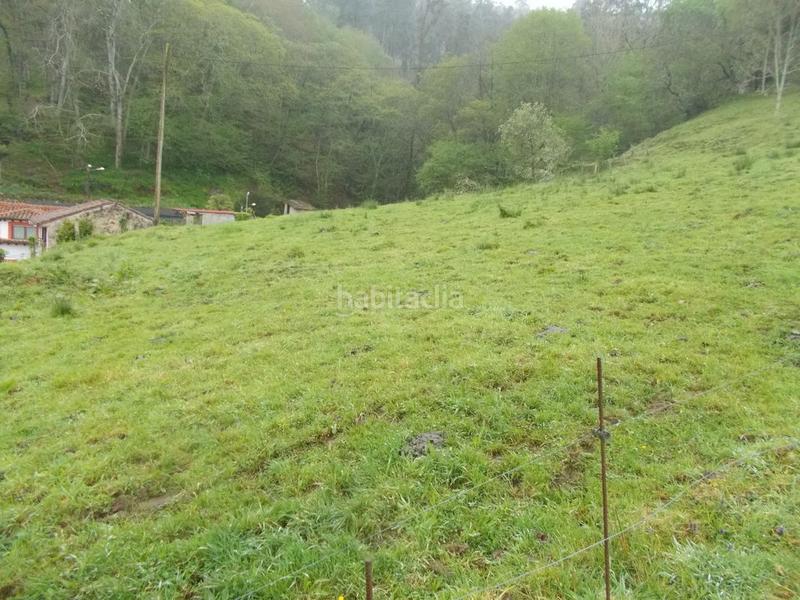 Foto fe4af150-6e49-469d-9eb1-69eb5e90e948. Masia a Cué-San Roque-Andrín Llanes