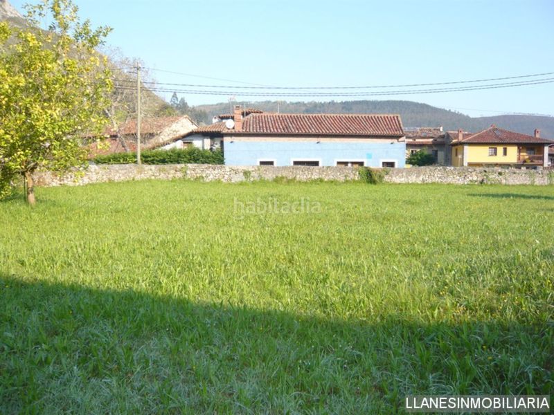 Foto ee557f40-a541-4739-a730-61f32c75cea2. Mas dans Vibaña-Ardisana-Caldueño Llanes