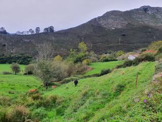 Terreno residencial en Vibaña-Ardisana-Caldueño. Maravillosas vistas