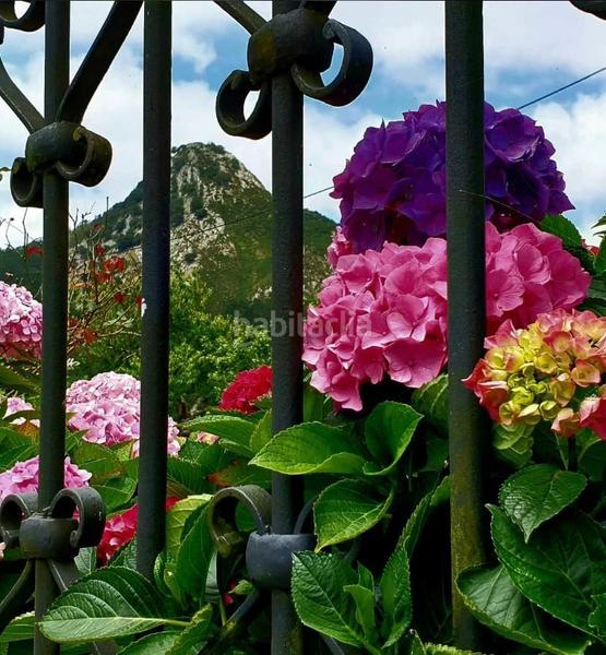 Foto 26688c5e-de0a-4288-9ad0-228151e4f1d1. Maison avec chauffage dans Posada-Barro Llanes