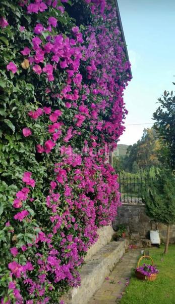 Foto d468c908-fd72-462f-970b-a5901376ee0c. Maison avec chauffage dans Posada-Barro Llanes