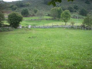 Terreny residencial a Vidiago-Pendueles-Tresgrandras. Finca en la borbolla