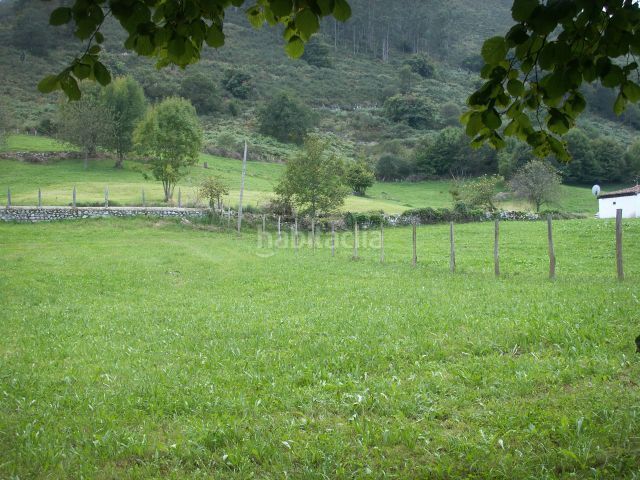Foto cdeab5ce-66d4-41da-8733-86210d070cba. Terreny residencial a Vidiago-Pendueles-Tresgrandras Llanes