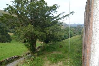 Terreny residencial a Cué-San Roque-Andrín. Finca en purón