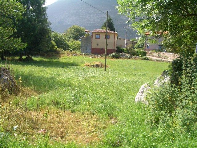 Foto 67af7fc8-cd06-4cad-afea-170f3f8b602a. Terreny residencial a Ribadesella
