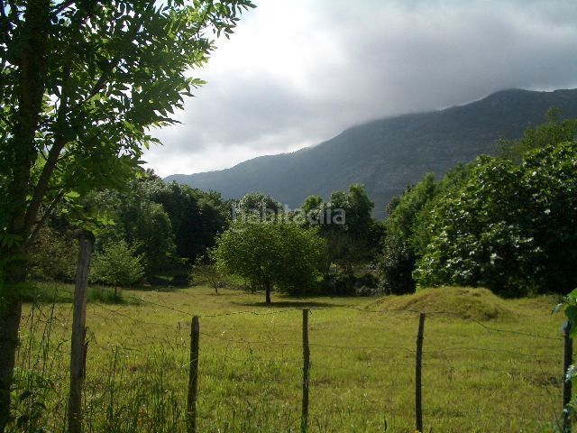Foto cd05a233-ec17-4668-b4d2-f69782d41a9b. Terreny residencial a Ribadesella