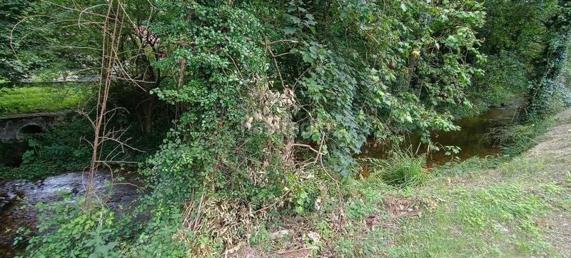 Foto 4c3390d8-8a90-4cc6-9262-f9babfc287bf. Mas dans Pría-Nueva-Hontoria-Naves Llanes