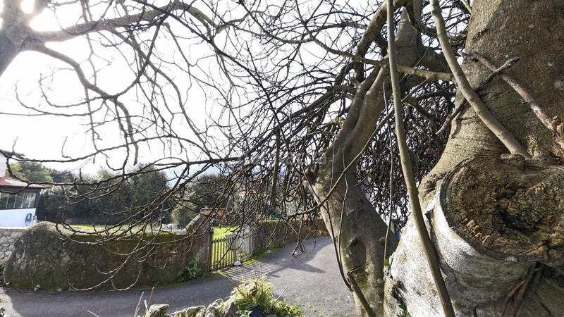 Foto 3e399d9c-353f-4994-9a00-6fd07cb09d8a. Masia a Celorio-Poó-Parres Llanes