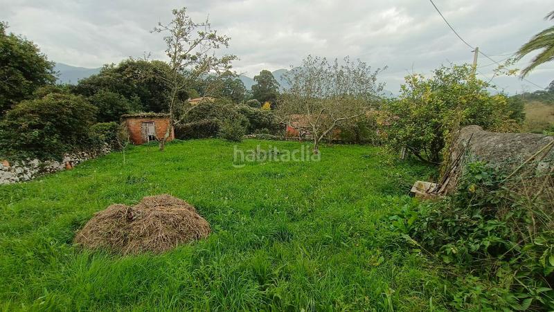 Foto 73fa54ab-0a18-4a59-a099-445e8560a42a. Masia a Celorio-Poó-Parres Llanes