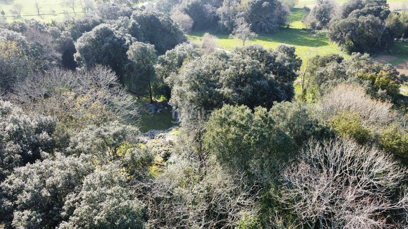 Foto 6bd80088-03f7-4f3a-b18f-f054bde6ae81. Édifice dans Pría-Nueva-Hontoria-Naves Llanes