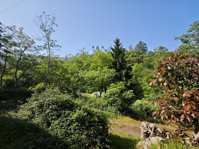 Foto 9627b5f0-aa44-4d3d-ab22-4e2ce7c1cebb. House in Vibaña-Ardisana-Caldueño Llanes