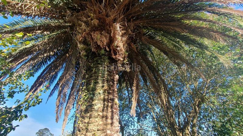 Foto a07ea4f8-5b73-4e01-9686-fbbe5ce01af3. Casa increible casa de indianos en posada en venta!! en Llanes