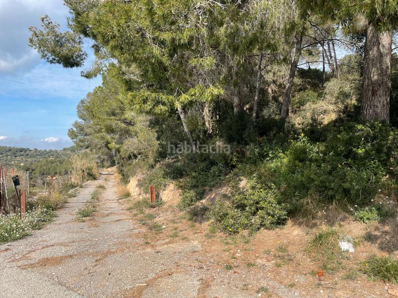 Foto 6970becf-8dc1-405c-bc20-0cb39dc56295. Finca rústica terreny rústic a en Castellbisbal