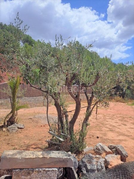 Foto 573a91c5-2b60-4739-9576-0c3181e03ae7. Residential plot in Castellbisbal