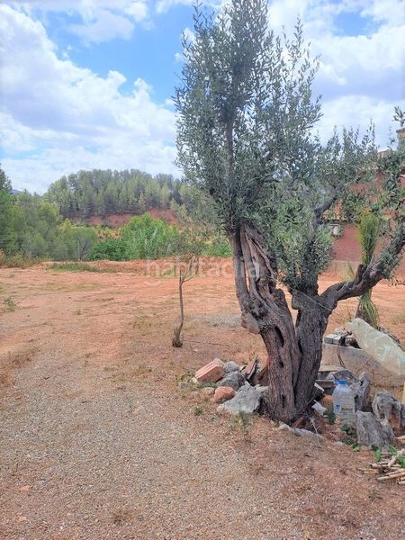 Foto 5e54c22e-b774-4266-913e-39246fff5eab. Residential plot in Castellbisbal