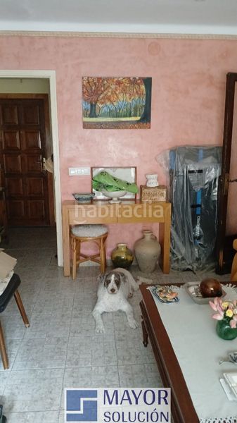 Foto f726fcb8-1198-48de-af60-f4c7dd916bbd. Pis a Ullà