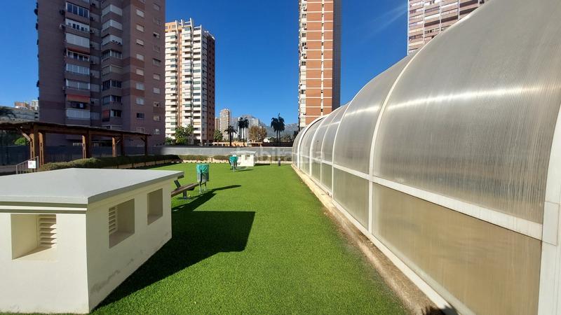 Foto bc3a642e-de8f-4d61-a58d-ad4ec1b95805. Appartamento con parcheggio piscina in Rincón Bajo Benidorm