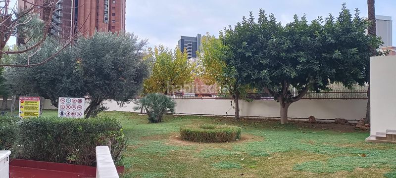 Foto a428033f-b15f-4bd9-954c-9d54ddb51ae1. Apartament amb aparcament piscina a Rincón Bajo Benidorm