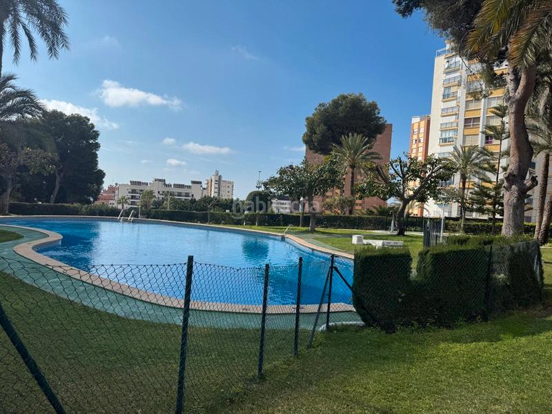 Foto 307030df-4446-4c27-8ea3-f649bee7cdd3. Apartament amb piscina a Foietes Benidorm
