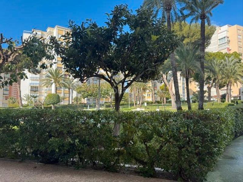 Foto 44eac1e0-0461-4d15-b195-069ba56b3556. Apartament amb piscina a Foietes Benidorm