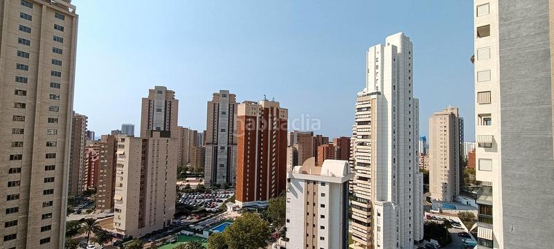 Foto 0759dd45-df03-4298-90e6-c1f969277fe6. Apartamento magnífico piso reformado ! con excelentes vistas, piscina en Benidorm