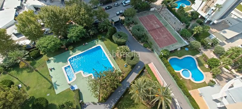 Foto 7dc6d556-41f8-4756-90cb-b4085e6a85b8. Apartamento magnífico piso reformado ! con excelentes vistas, piscina en Benidorm
