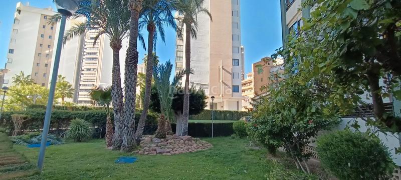 Foto b6ba3735-2277-4680-a586-24432d9c59a1. Apartamento magnífico piso reformado ! con excelentes vistas, piscina en Benidorm