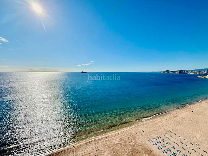 Foto 52ccf6cd-d831-4318-89de-f26d3478fffe. Estudio amplio estudio acogedor , zona de levante. primera linea de playa en Benidorm
