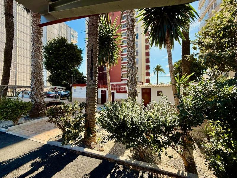 Foto 99271324-1e86-48c0-9dcc-d971948c4b63. Estudio amplio estudio acogedor , zona de levante. primera linea de playa en Benidorm