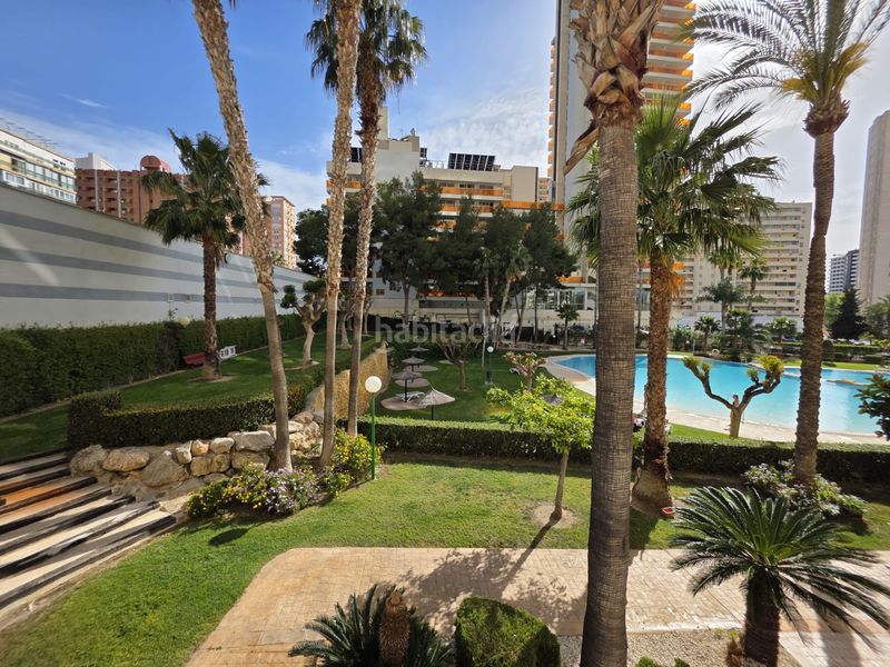 Foto 6bedc532-2bf6-4bf8-ba23-741fdb2ba51e. Apartament amb aparcament piscina a Rincón Bajo Benidorm