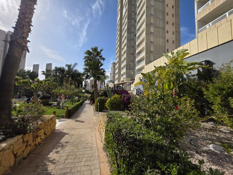 Foto d8e267b0-080c-4f46-bd87-aeb3a4f7e700. Apartament amb aparcament piscina a Rincón Bajo Benidorm