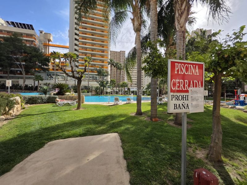 Foto e14bd3bf-a6a5-476b-abea-26d1d9b63246. Apartament amb aparcament piscina a Rincón Bajo Benidorm