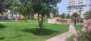 Apartamento  Urbanización entrenaranjos. Piso en venta, con 3 habitaciones y 2 baños, en una urbanización