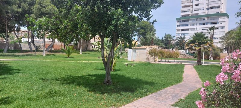 Foto 15eb919c-f8e3-4266-ae94-215215694a75. Apartament amb aparcament piscina a Playa Poniente Benidorm