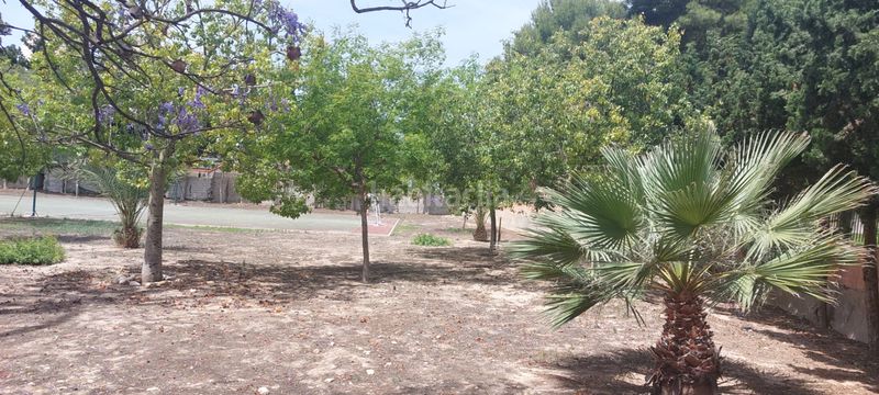 Foto 79ec6c19-8610-4e3c-b6b5-1f6827befd52. Apartament amb aparcament piscina a Playa Poniente Benidorm