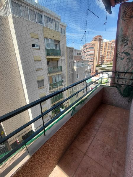 Foto 35108c62-f282-46ec-a4ab-62d08b006275. Pis a Centro Urbano Benidorm