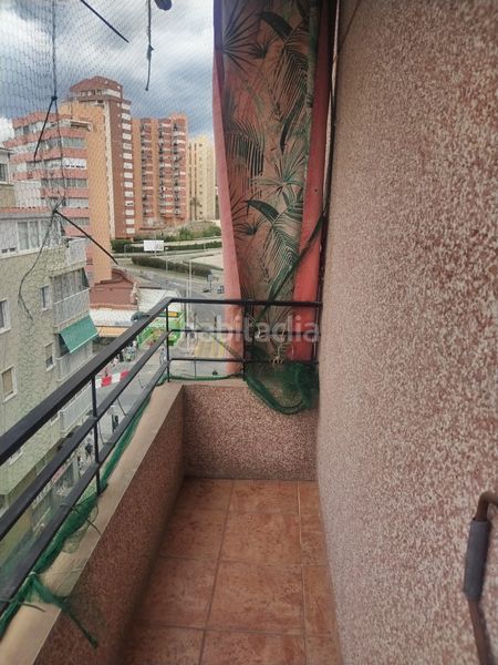Foto d970e673-a2d0-413c-9228-35fa45d5ad68. Pis a Centro Urbano Benidorm