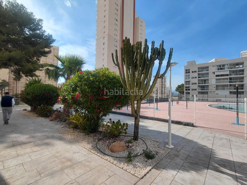 Foto 32eb9e68-74be-4b24-82ee-dddf012d4820. Apartament amb piscina a Rincón Alto Benidorm
