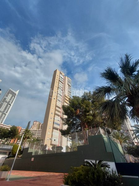 Foto 3973020f-1116-450d-90c7-4081cdd6c65c. Apartament amb piscina a Rincón Alto Benidorm